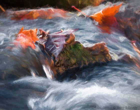 _MG_0374-Edit-TurnerSt1