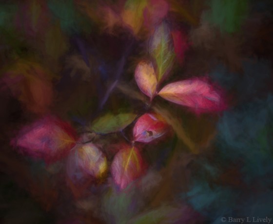 Rod-Planck-13-0426-Edit-OGBR