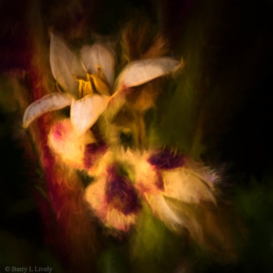 Flr_MG_3535-Edit-Smudge1