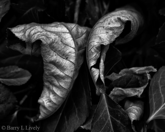 Around-Home-5413-001