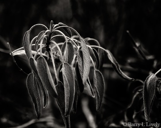 Around-Home-5437-026