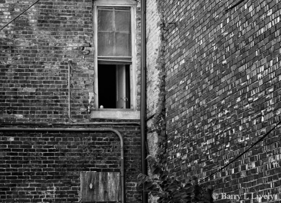 Fountain_square_4236-2