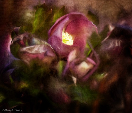 untitled-1586-ConcChalk1