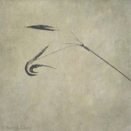 FotoSketcher---weeds_7189-PS2-default