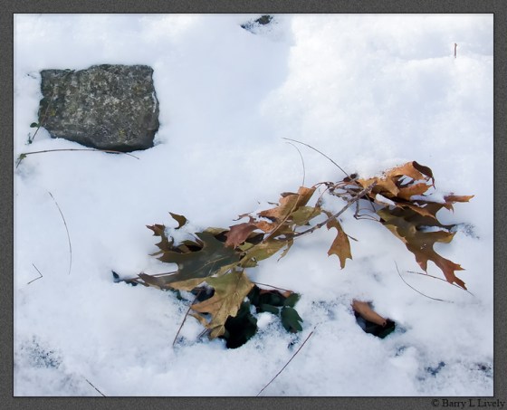 snow_on_wall_2466-Edit-cr