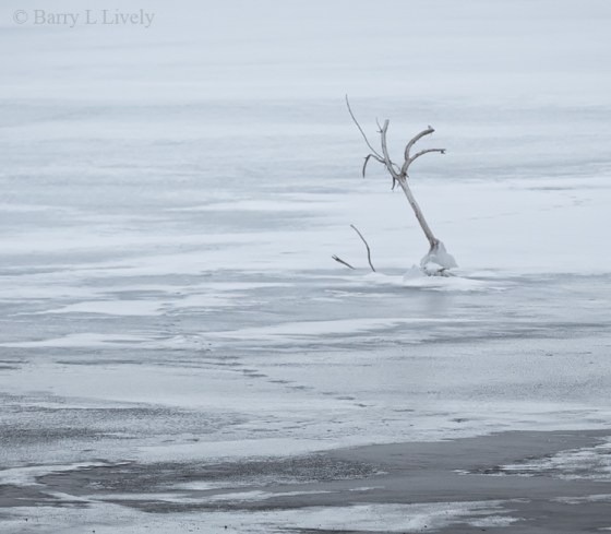 untitled-0156-Edit-HiKey2