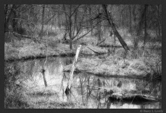 untitled-5659-Edit_bw