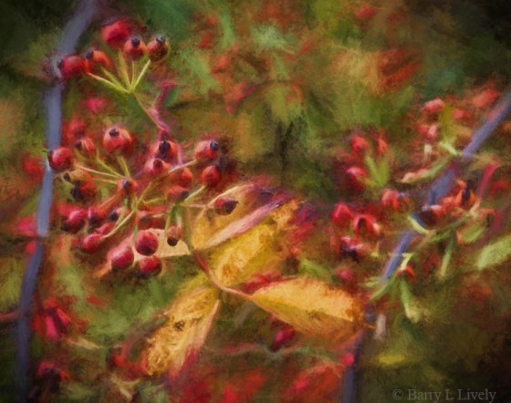 Ben-and-Lauren-Wedding-9726a-TSt2