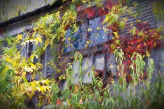 Bainbridge14-4753-TurnSt2