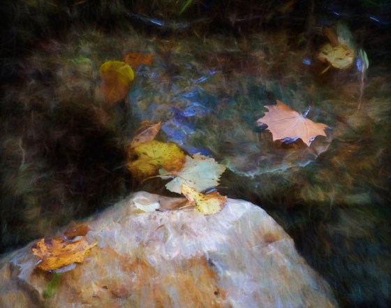 FHSP_0137-39_cropped-OGBR