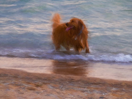 Lake-Michigan-14-2991-OGBR