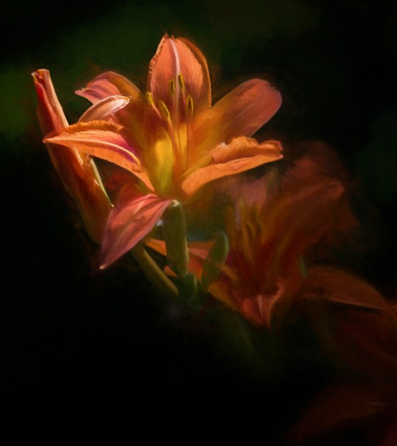 2015-2655-OGBR-darklight