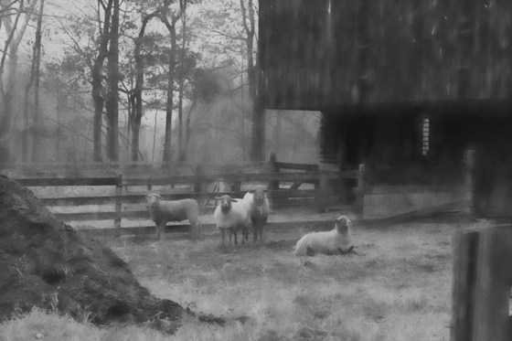 Conner-Prairie-0933-WarmHaze2