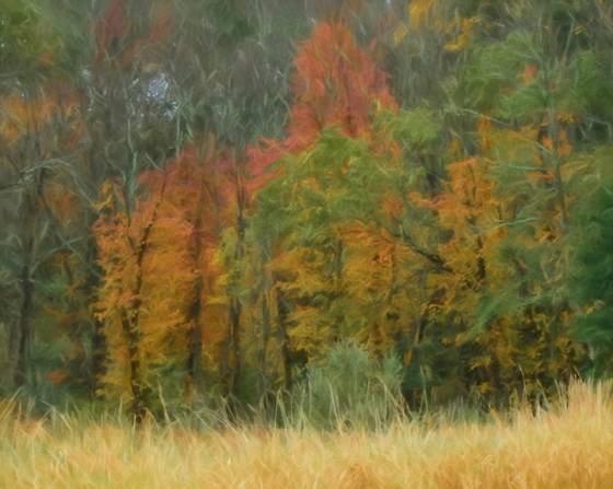 NJ-14-1783-Edit-OGBR