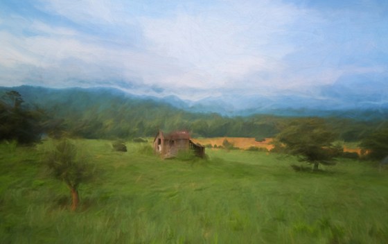 Travel-2015-3463-2-OGBR