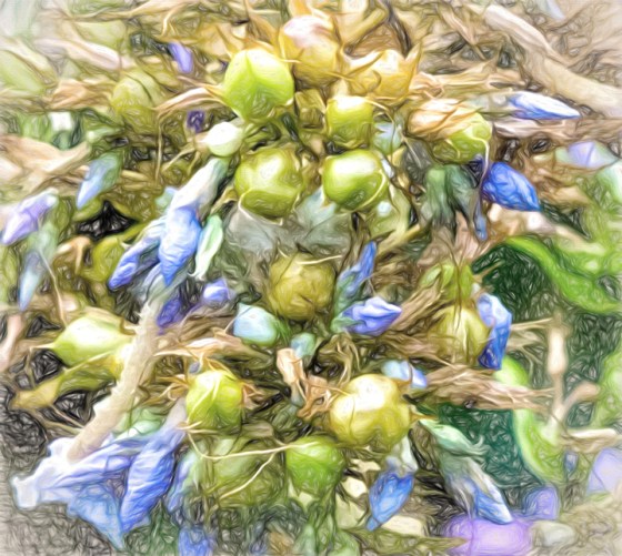 2015-4566-Edit-2-Edit-Edit-LiqPen1