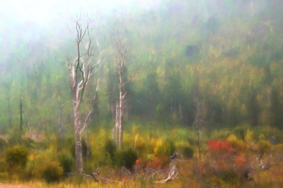 2015-5688-Edit-Default-SCV.56