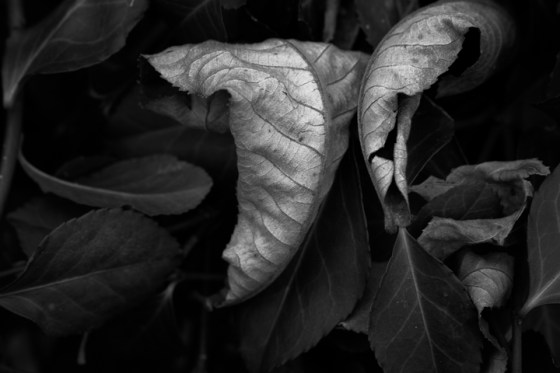 Around-Home-5409-redo