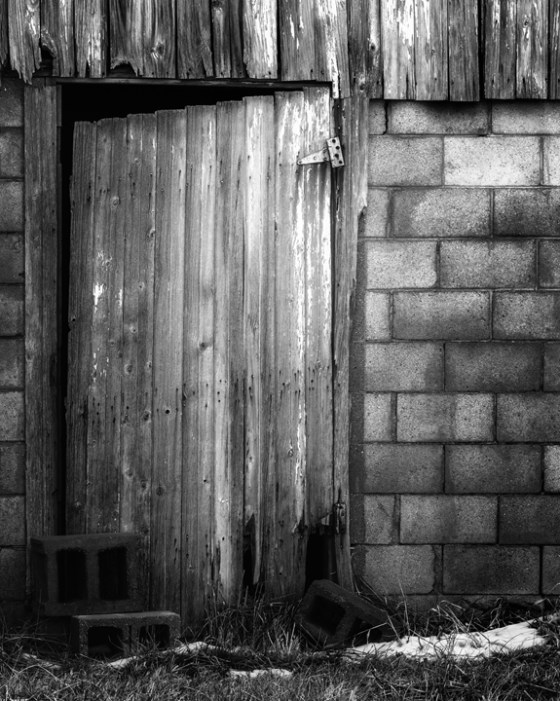 Bainbridge_4049-Edit