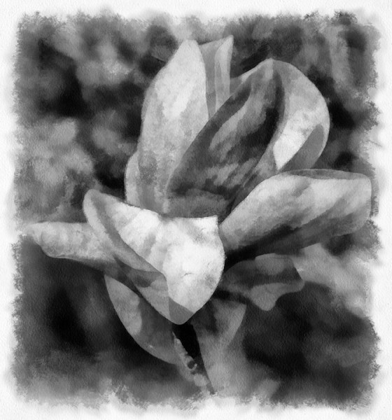 untitled-1722-Edit-2_DAP_Aquarell-005