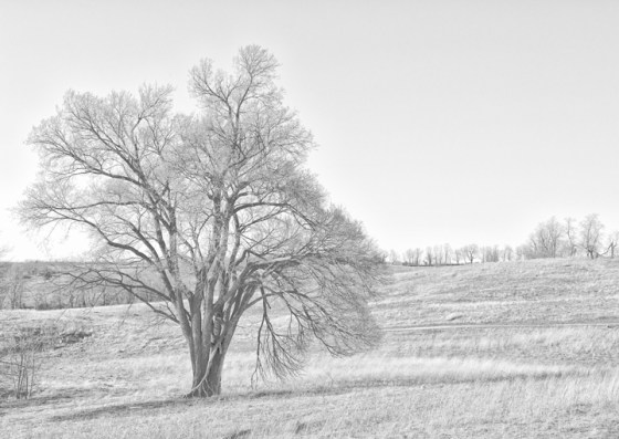 Pleasant-Hill-0835-002-TLBWClassGr