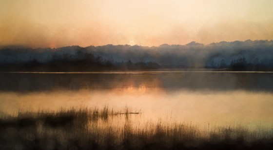 Rod-Planck-13-0704-Edit-Edit-copy-Obsc1-canvas1