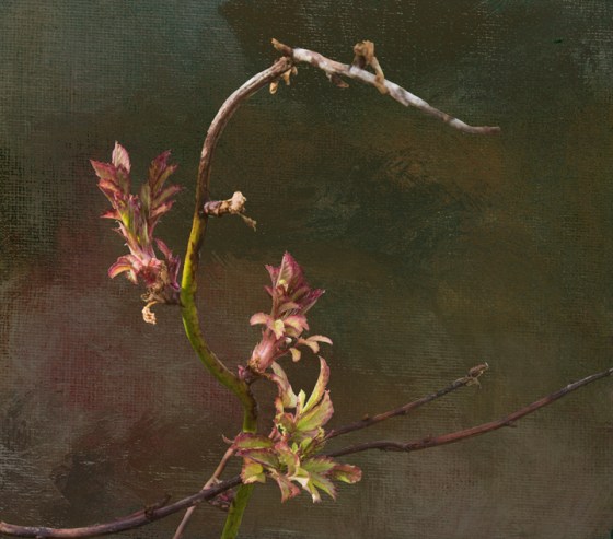 2016-6934-Edit-frame