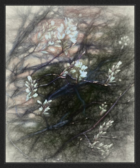 2016-7123-copy-SoftSk2-border