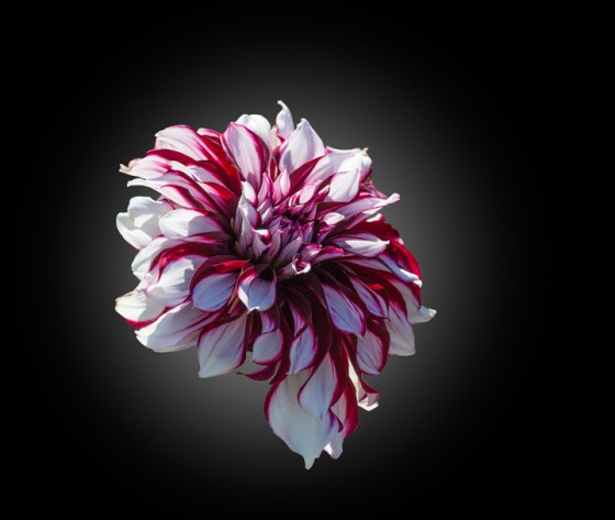 2016-holland-9191-edit