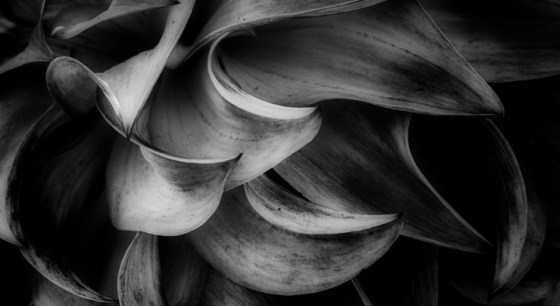 2016-holland-9478-edit